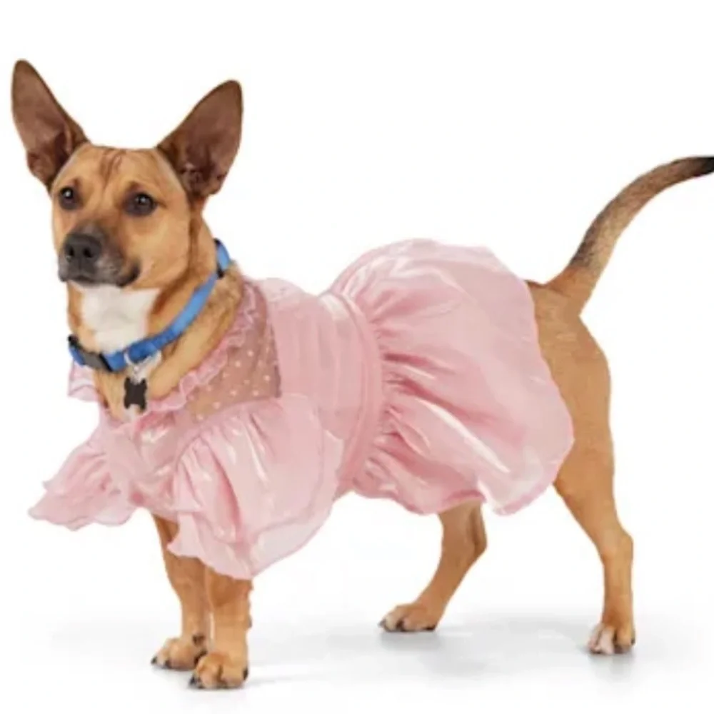 NWT Youly ruffle ‘the Charmer’ dog dress S
